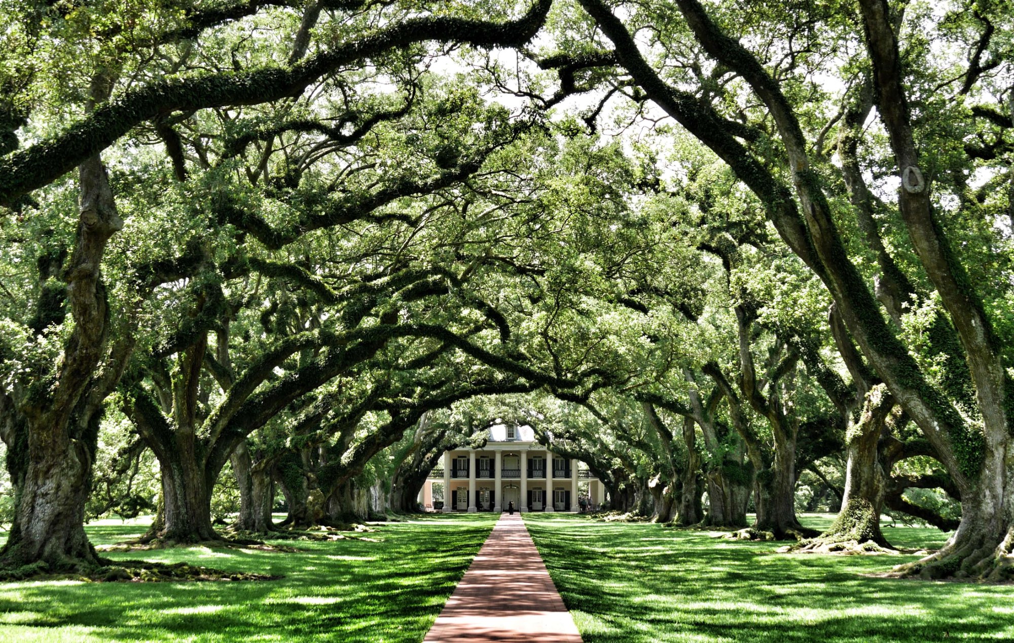 Oak Alley Plantation Louisiana