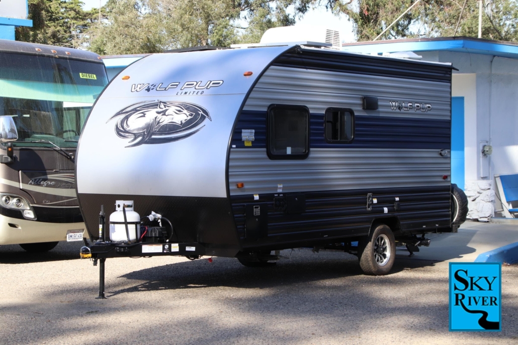 forest river wolf pup