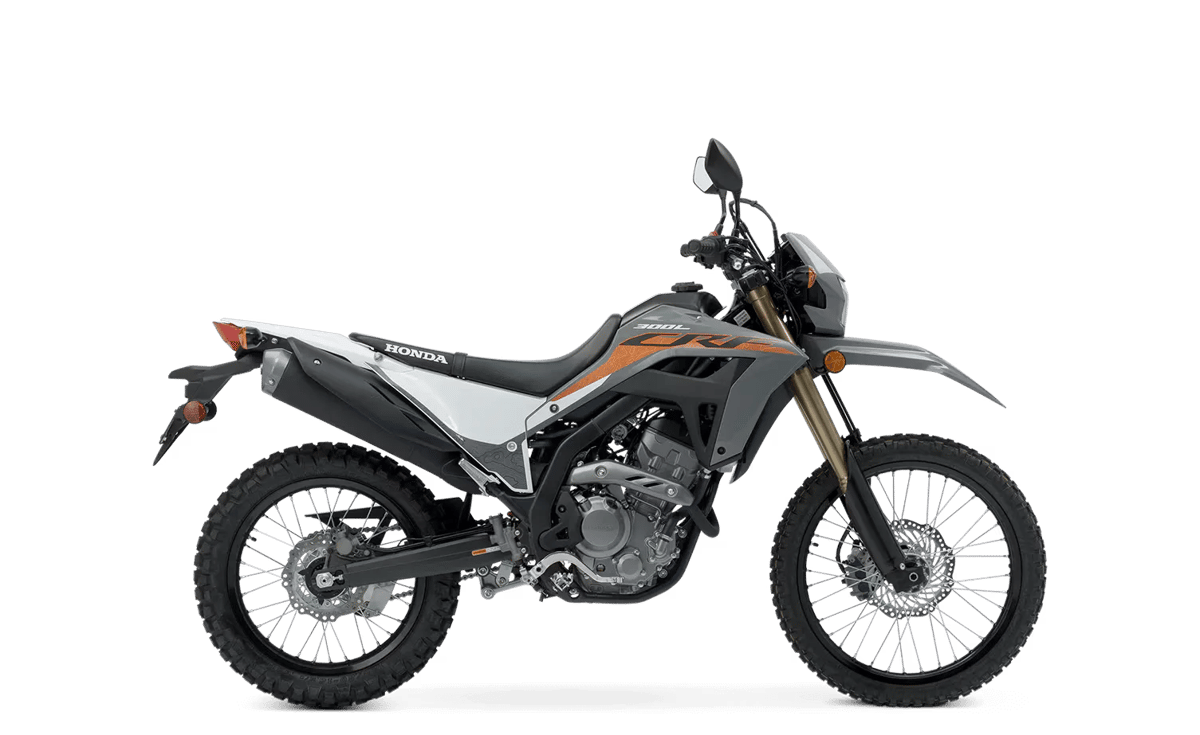 2024 Honda CRF300LS in Swift Gray