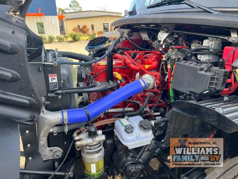 2026 Renegade 2026 Renegade Verona - thumbnail 11