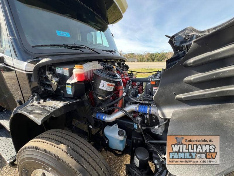 2026 Renegade 2026 Renegade Verona - thumbnail 12