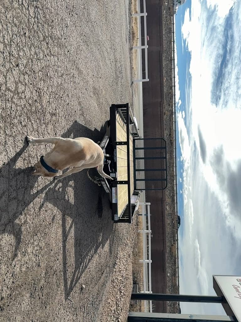 2026 PJ Trailers 2026 PJ Trailers PJ - thumbnail 2