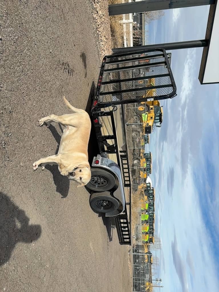 2026 PJ Trailers 2026 PJ Trailers PJ - thumbnail 7