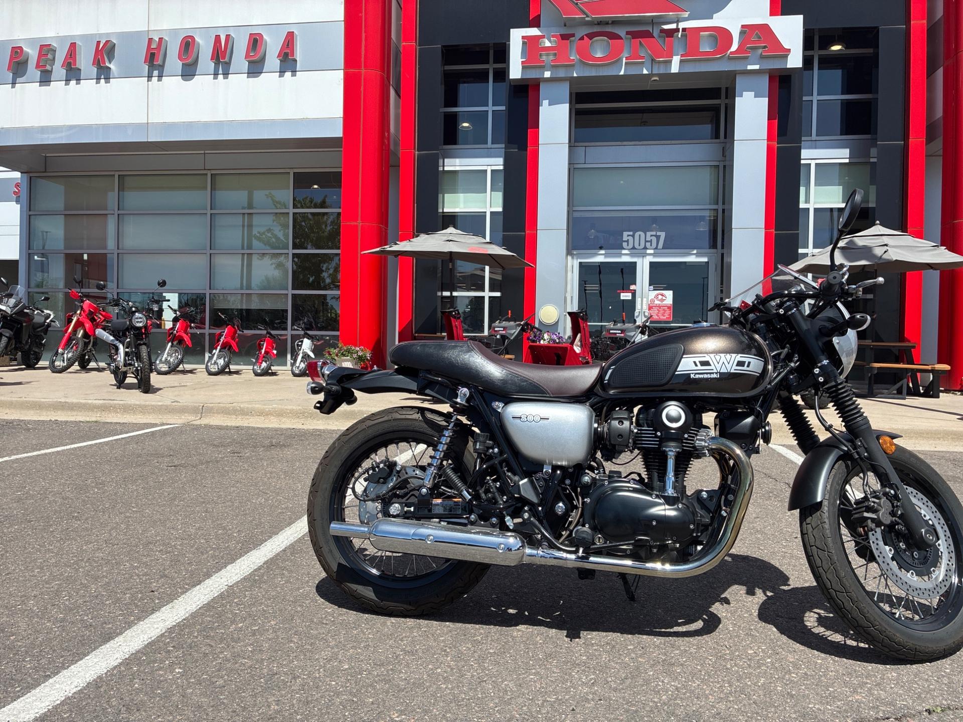 2019 Kawasaki W800 EJ800CKF