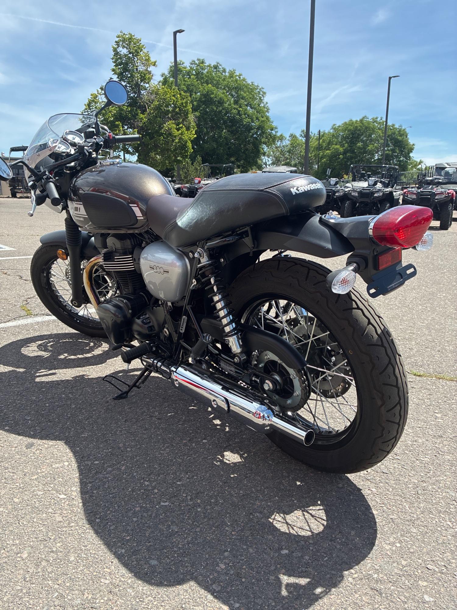 2019 Kawasaki 2019 Kawasaki W800 - thumbnail 4
