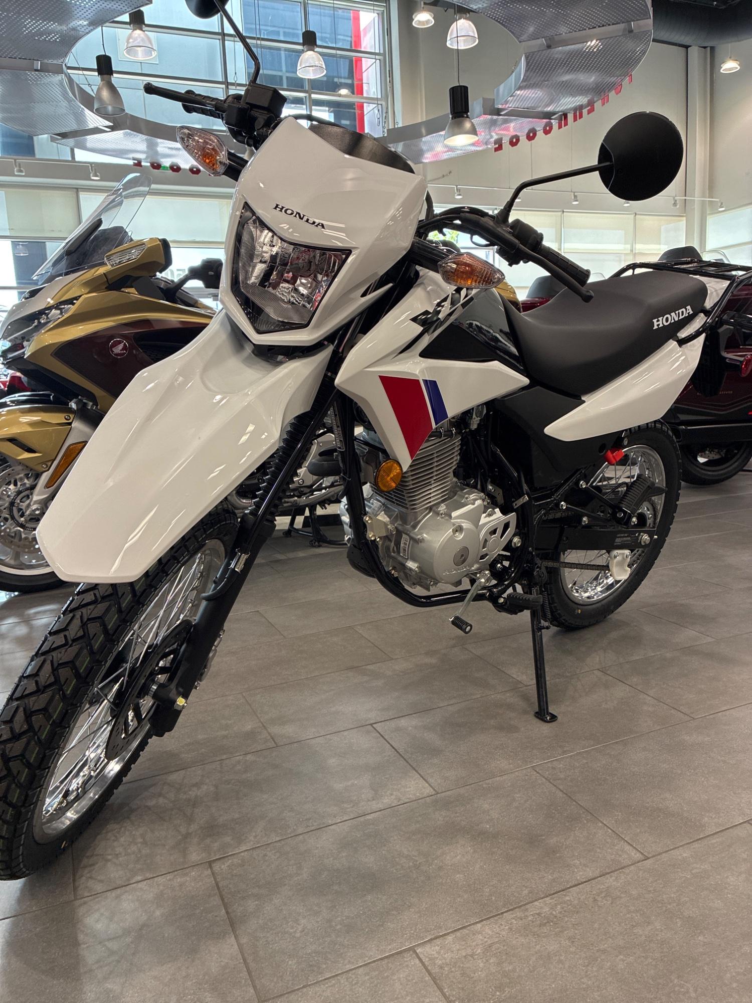 2026 Honda 2026 Honda XR150L - thumbnail 4