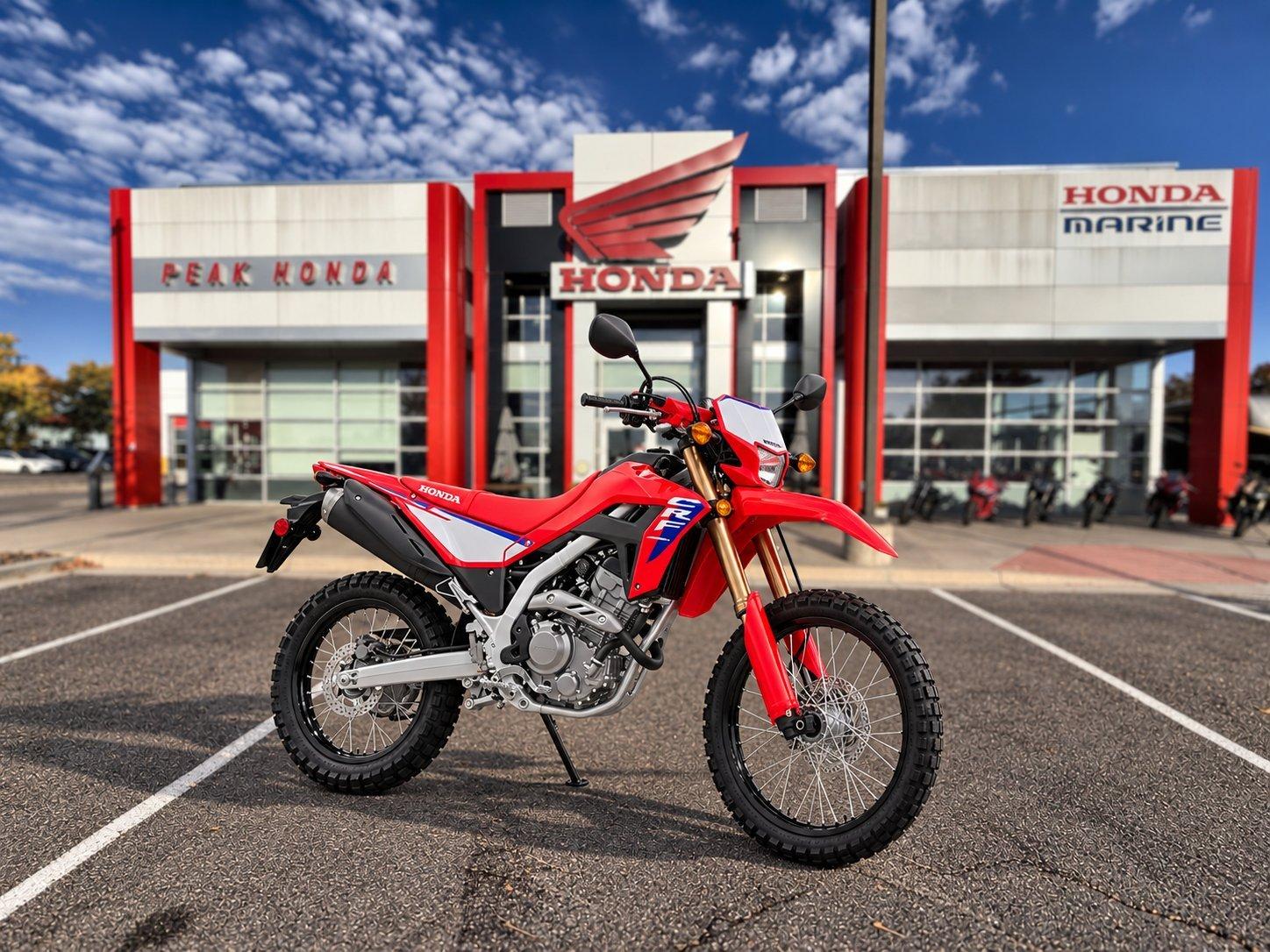 2025 Honda CRF300LASS CRF300LAS