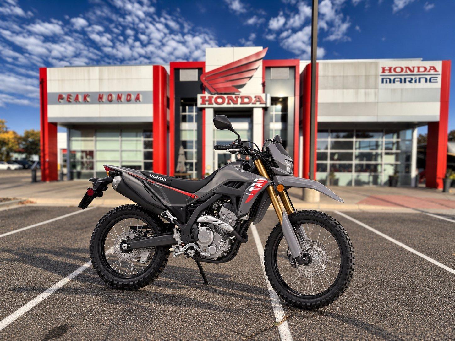 2026 Honda CRF300L Rally CRF300LRAT