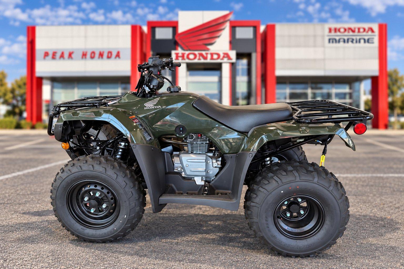 2026 Honda 2026 Honda FourTrax Recon - image 1