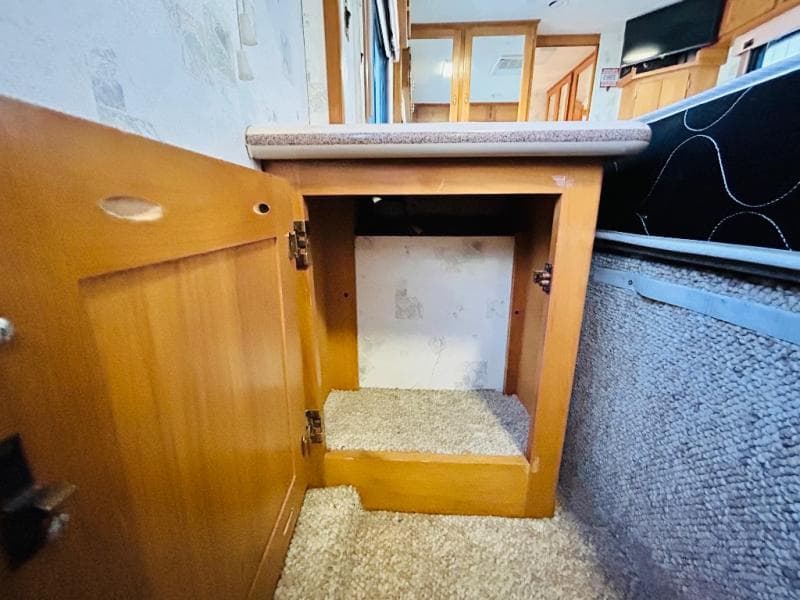 1999 Safari 1999 Safari SAFARI - thumbnail 72