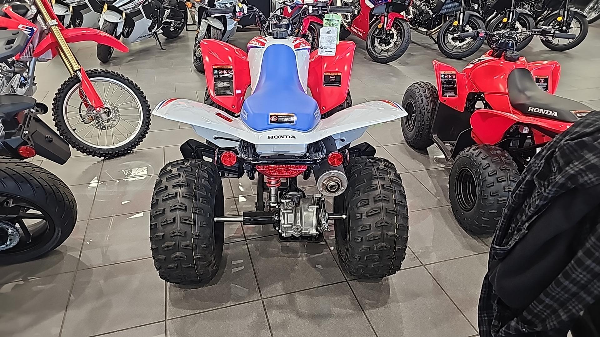 2026 Honda 2026 Honda TRX250XT - thumbnail 4