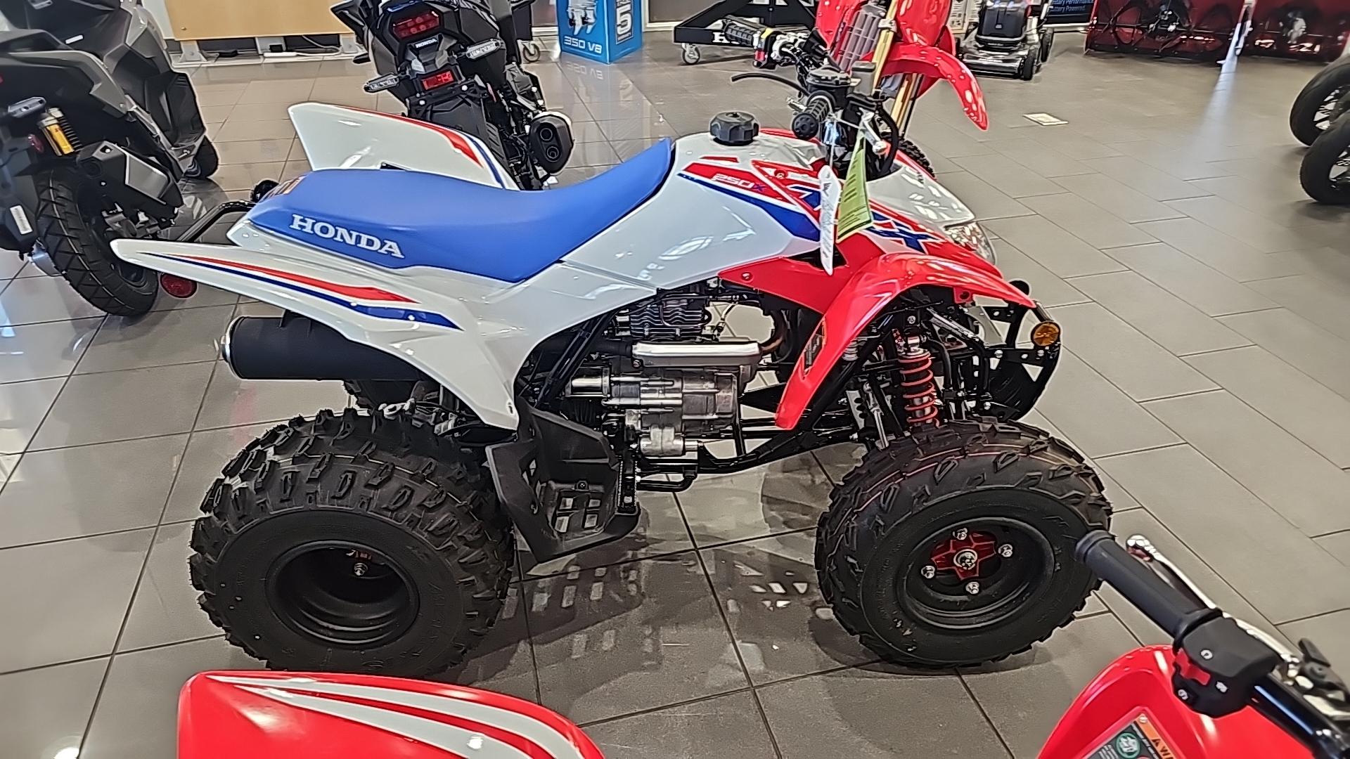 2026 Honda 2026 Honda TRX250XT - thumbnail 6
