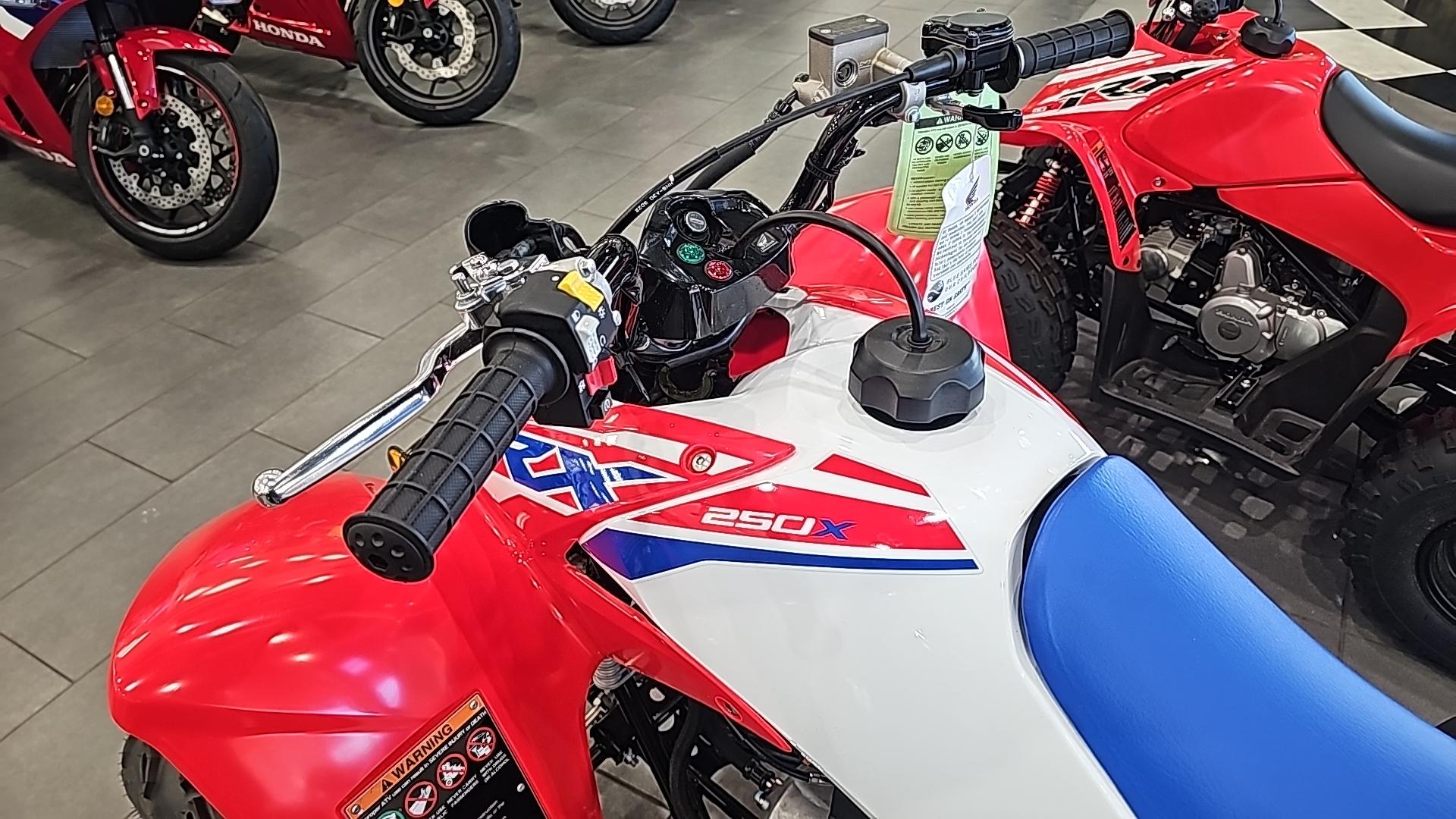 2026 Honda 2026 Honda TRX250XT - thumbnail 10