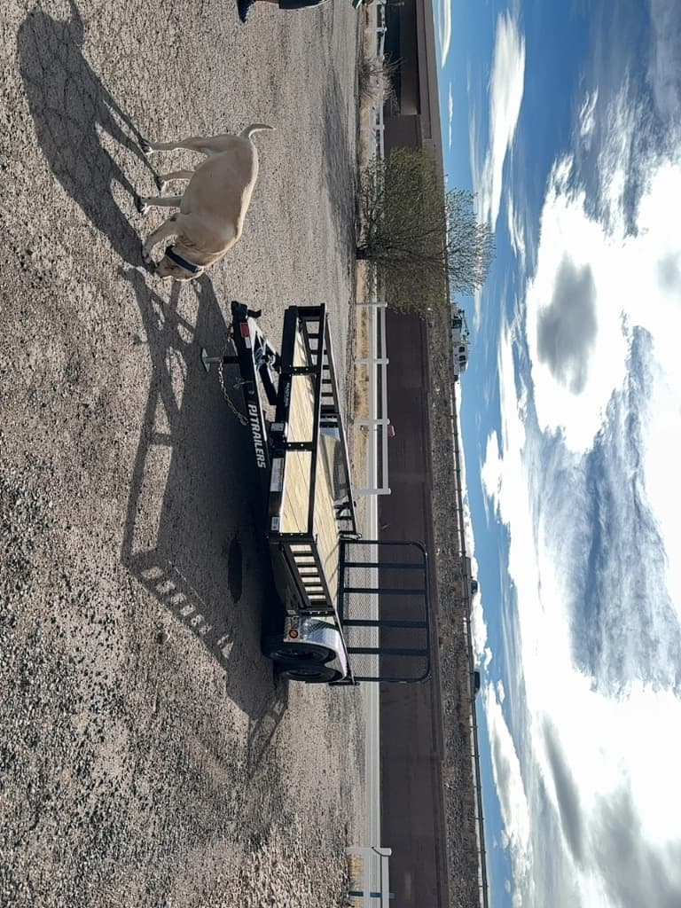 2026 PJ Trailers 2026 PJ Trailers PJ - thumbnail 3