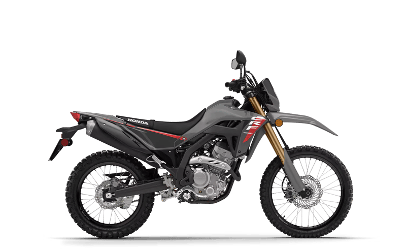2025 Honda CRF300LS in Swift Gray
